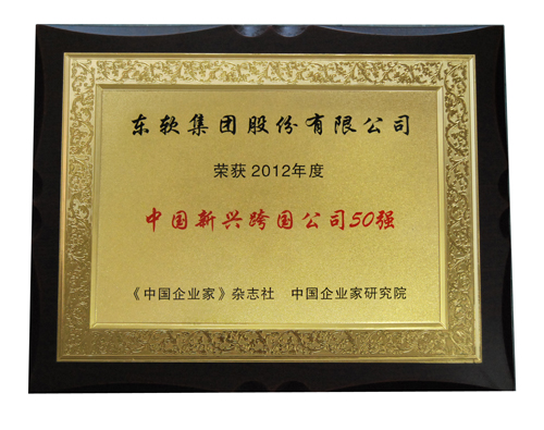s36沙龙会入选2012年度中国新兴跨国公司50强